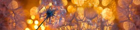 Кухонный фартук Мерцание Одуванчики золотистые 3 серебро в Химках - ximki.katalogmebeli.com | фото